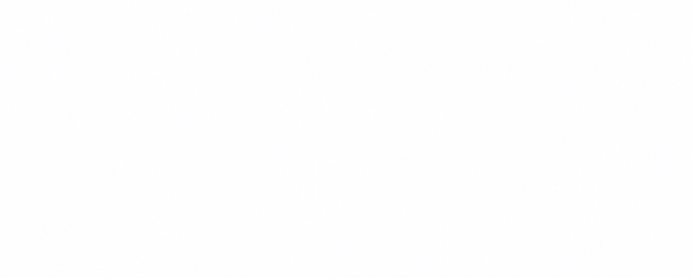 Logo Pierre RUSCHÉ